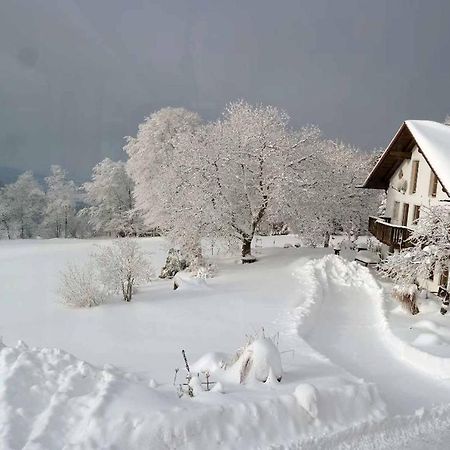 Ferienwohnung Miedl Хауценберг Экстерьер фото