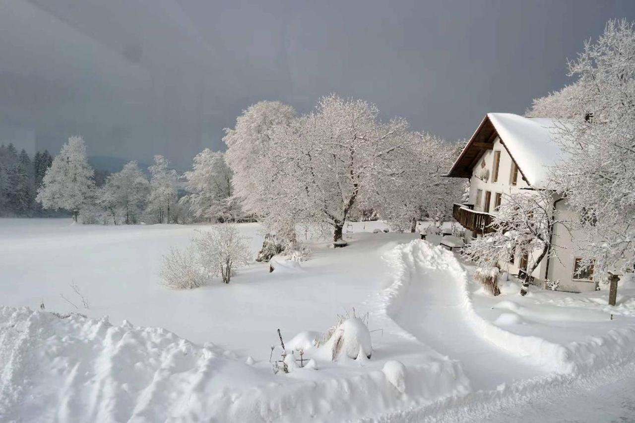 Ferienwohnung Miedl Хауценберг Экстерьер фото