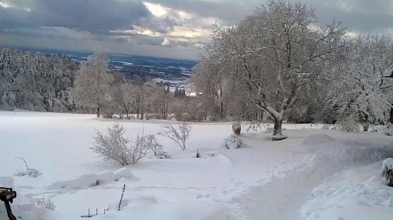 Ferienwohnung Miedl Хауценберг Экстерьер фото